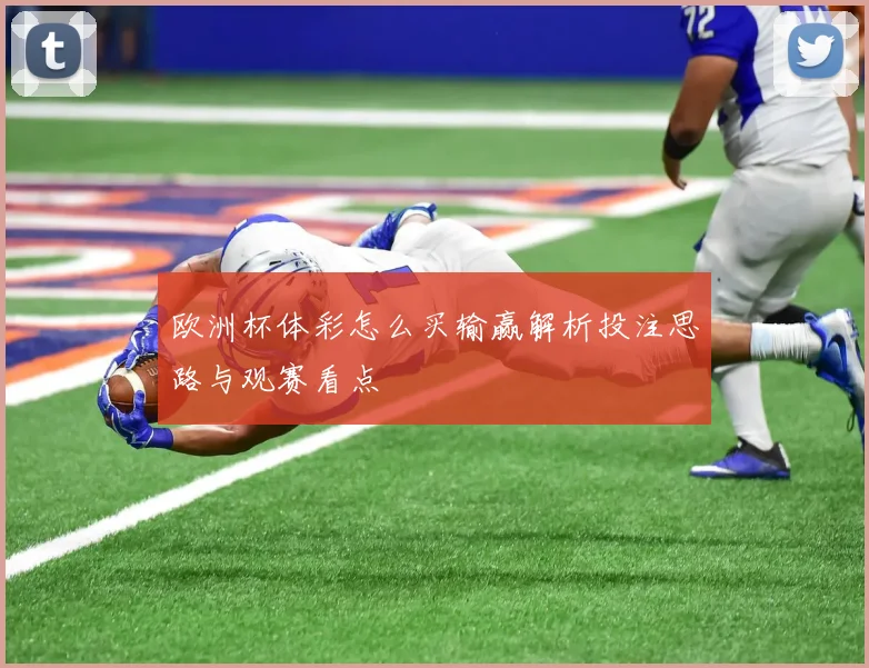欧洲杯体彩怎么买输赢解析投注思路与观赛看点