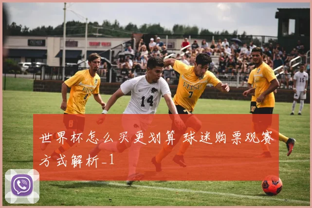 世界杯怎么买更划算 球迷购票观赛方式解析_1